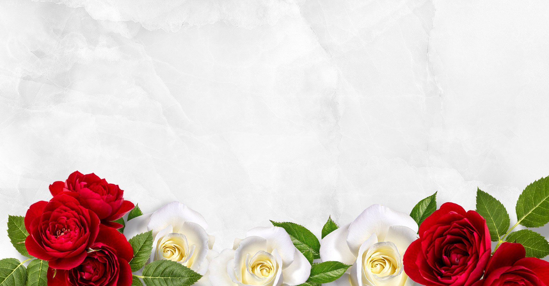 Bushelon funeral home birmingham al