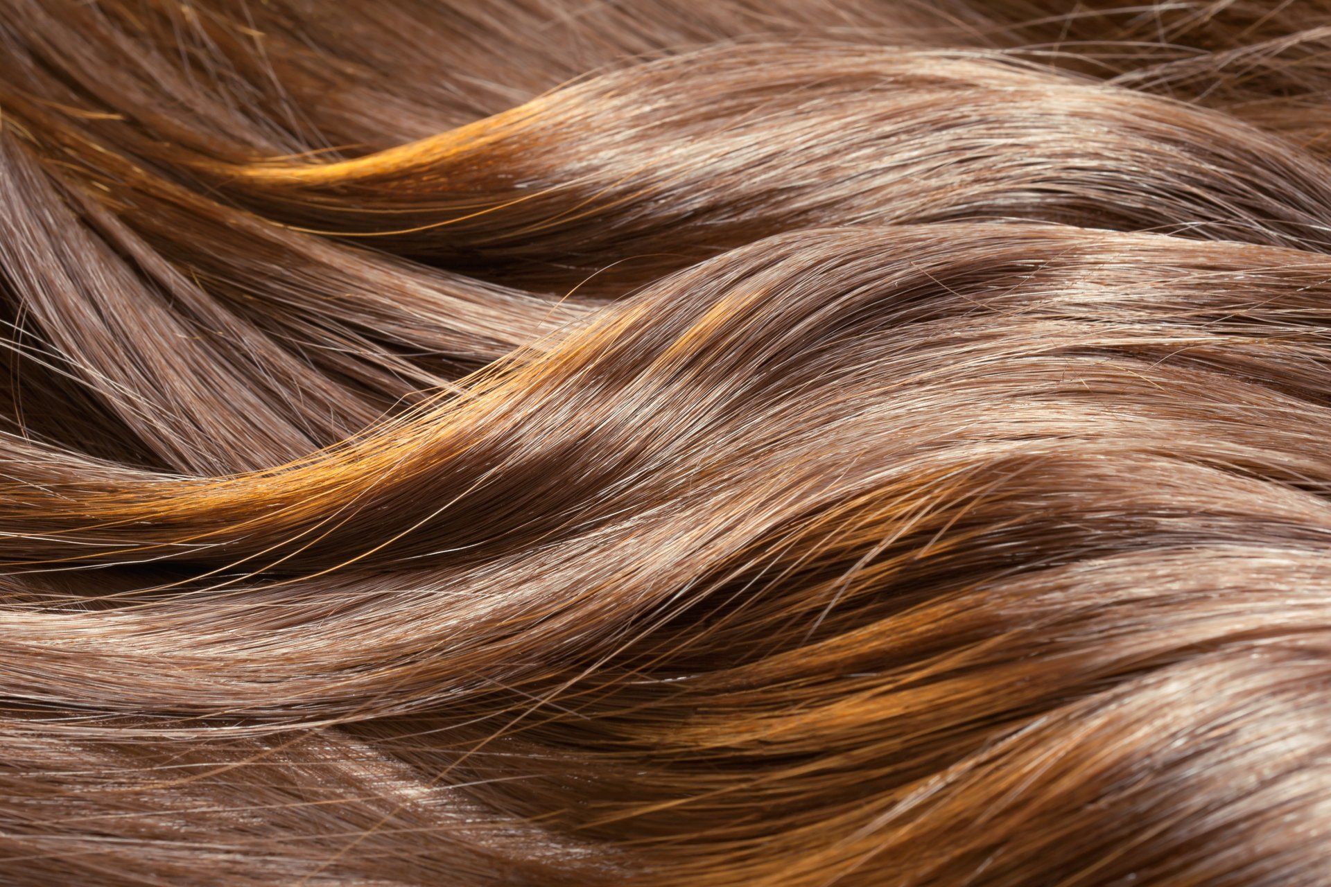 Highlights