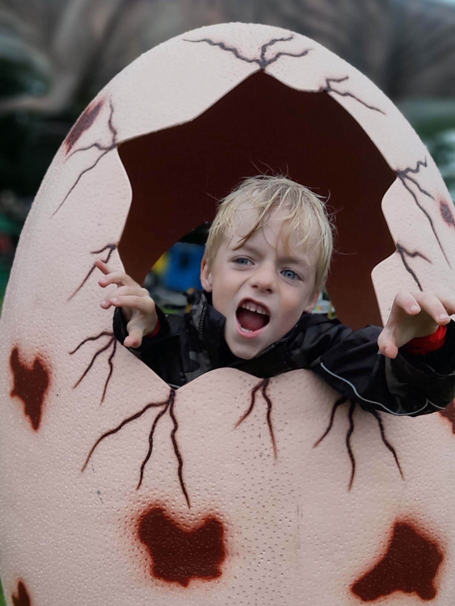 A young boy is looking out of a giant egg