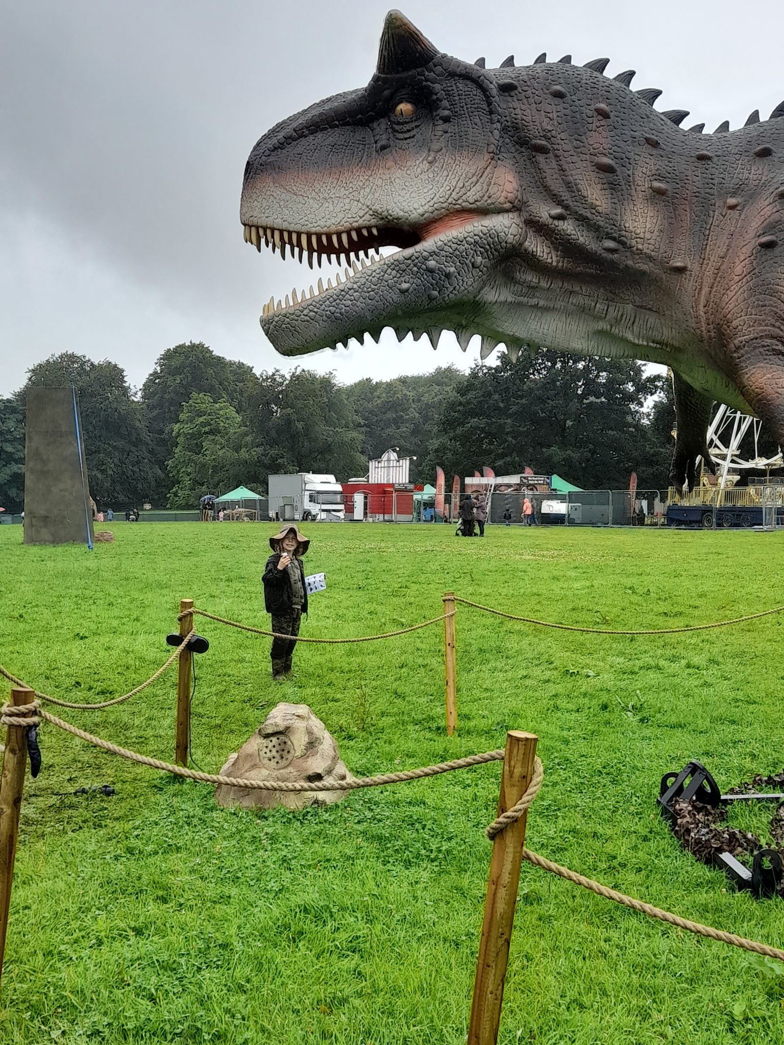 A large dinosaur is standing in the middle of a grassy field.