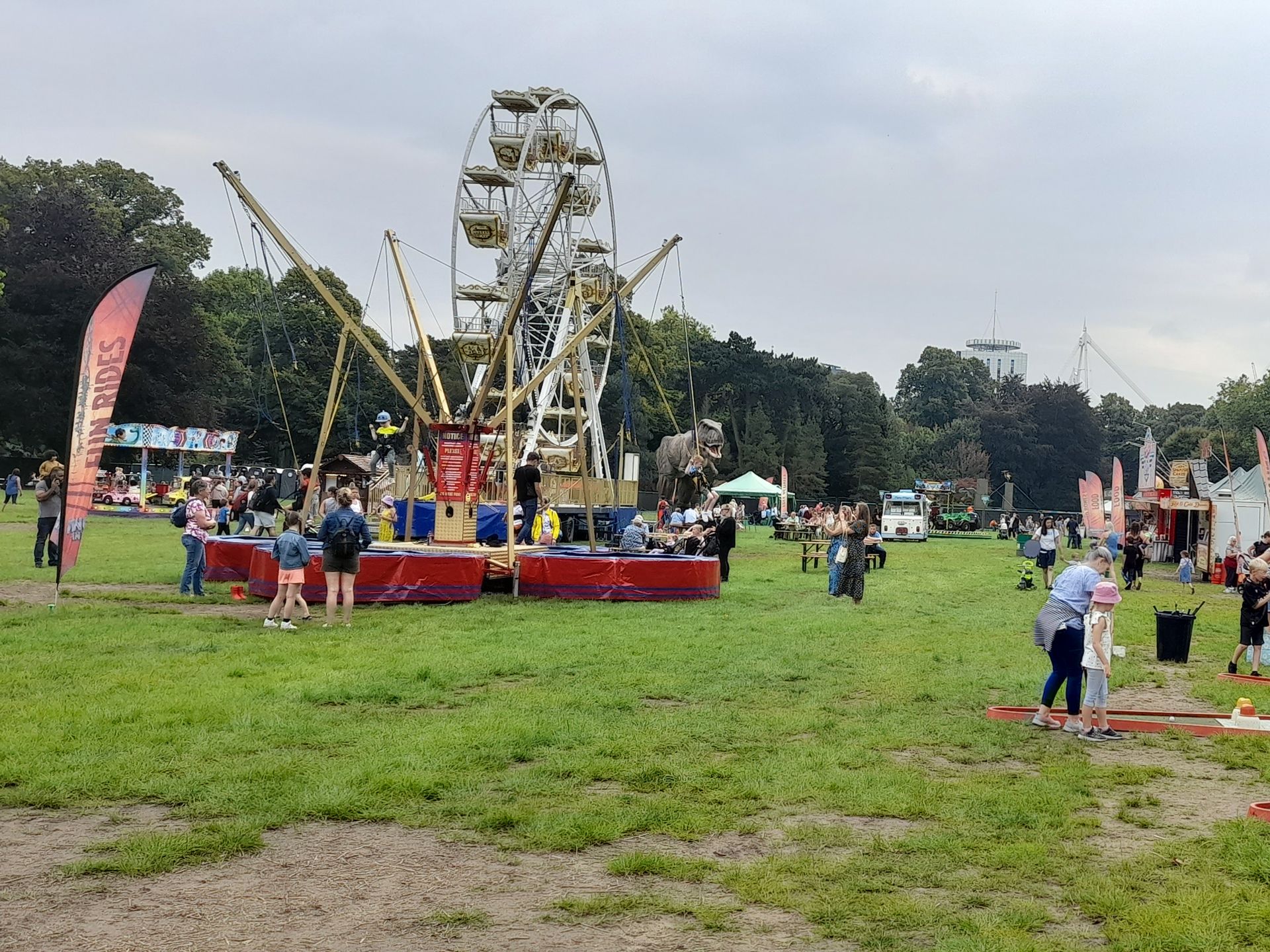 A group of people are standing in a field with a ferris wheel in the background.