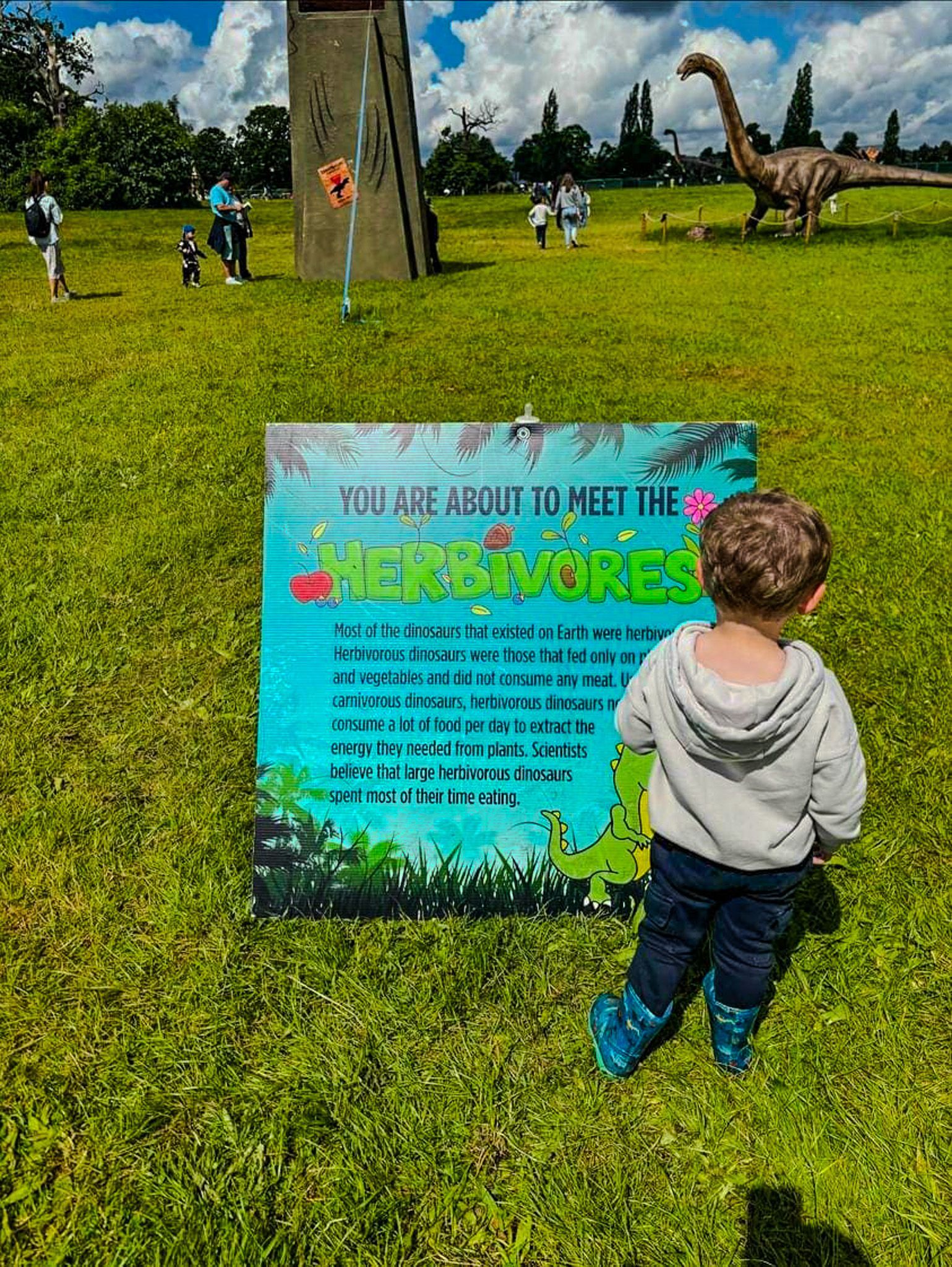 A little boy is standing in the grass in front of a sign