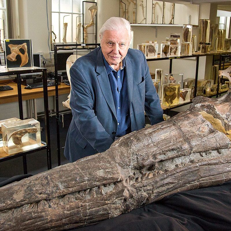 A man in a suit is standing next to a large piece of wood