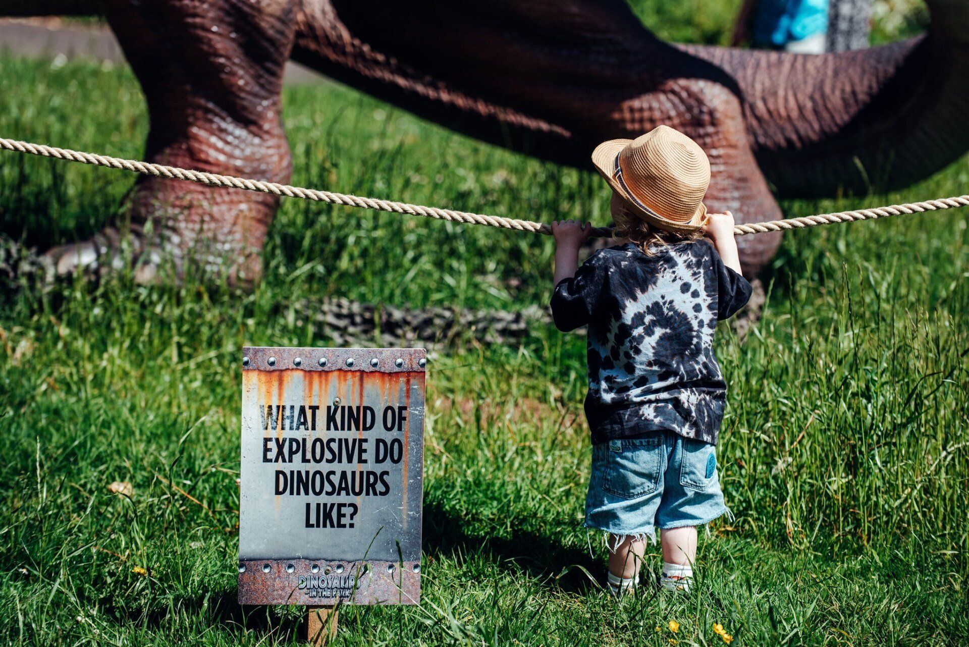 A little boy is standing next to a sign that says `` what kind of explosive do dinosaurs like ? ''.