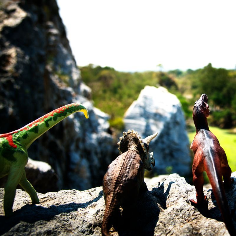 Three toy dinosaurs are standing on a rock