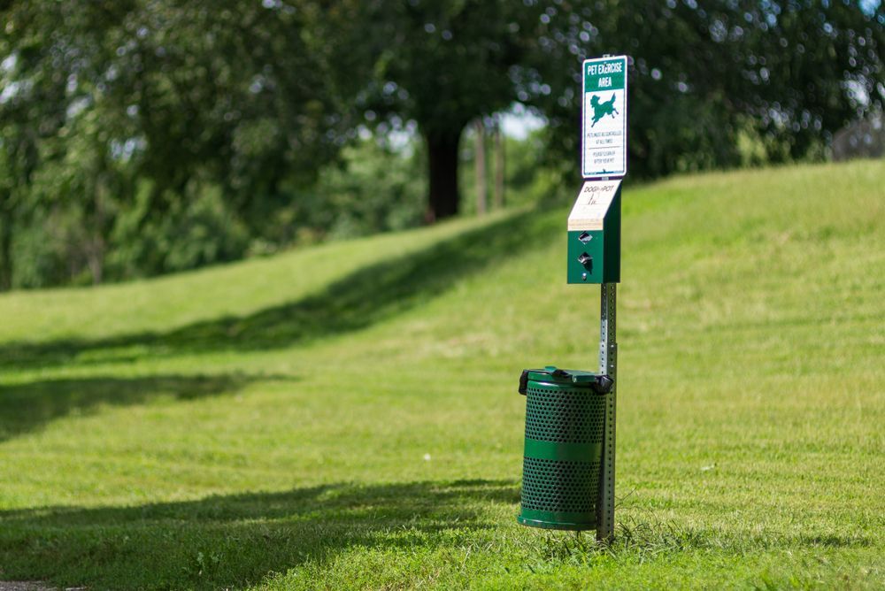 Green dog waste station in a grassy park, with a sign, bag dispenser, and trash receptacle.