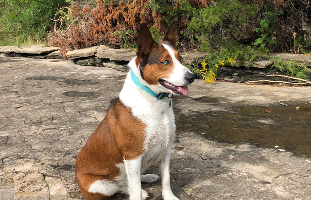 Man in blue shirt stands next to black car; red letters spell