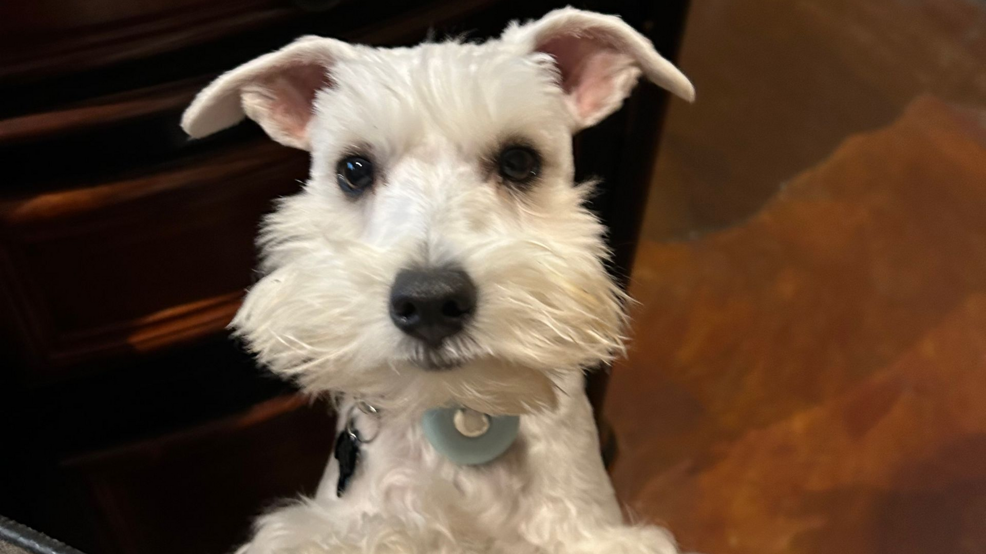 Man in blue shirt stands next to black car; red letters spell 