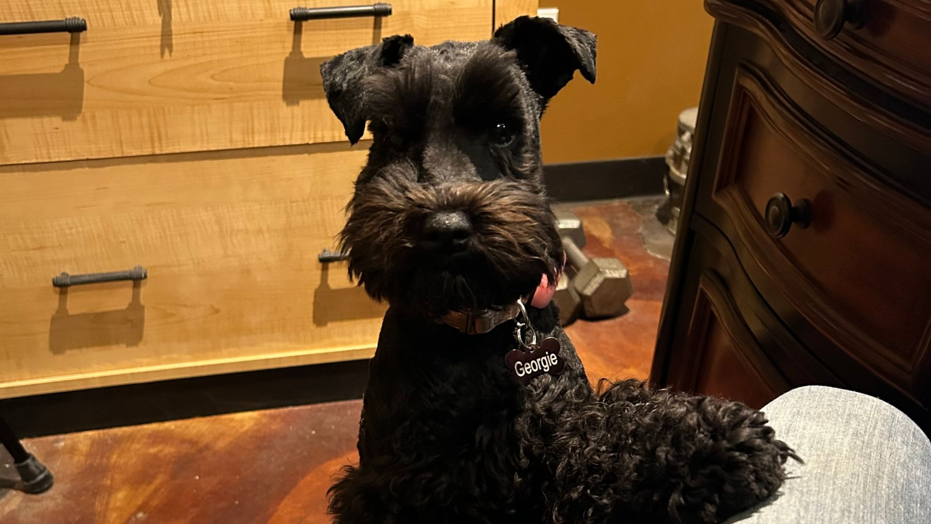Man in blue shirt stands next to black car; red letters spell 