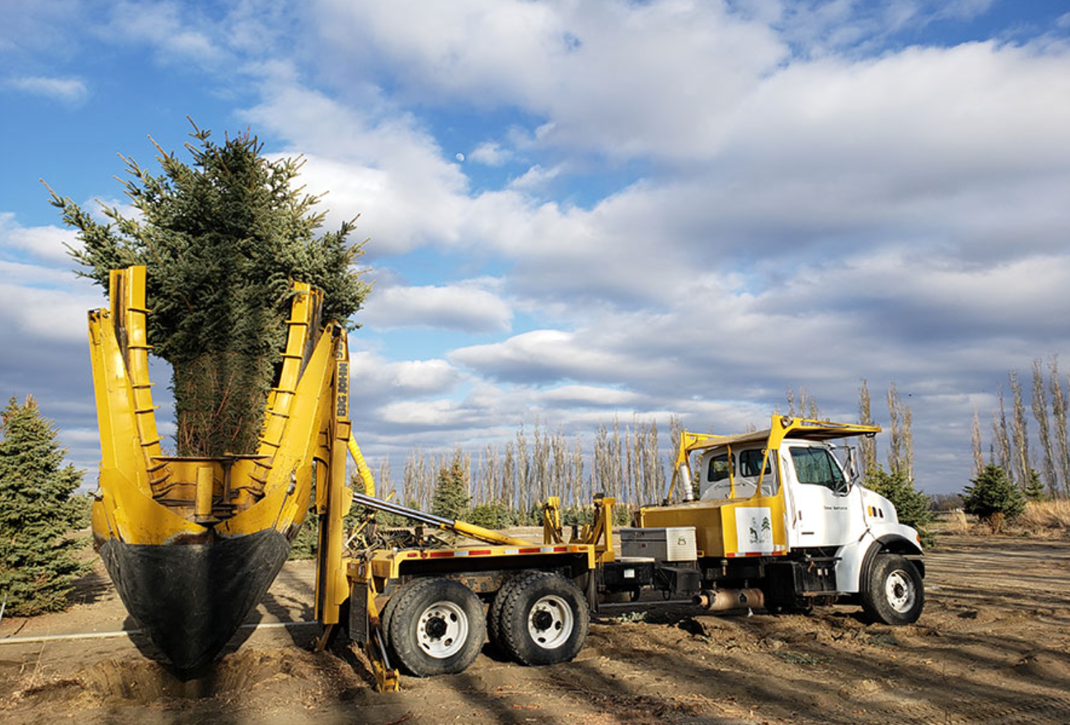Yellow tree spade truck planting a tree outdoors under a partly cloudy sky.