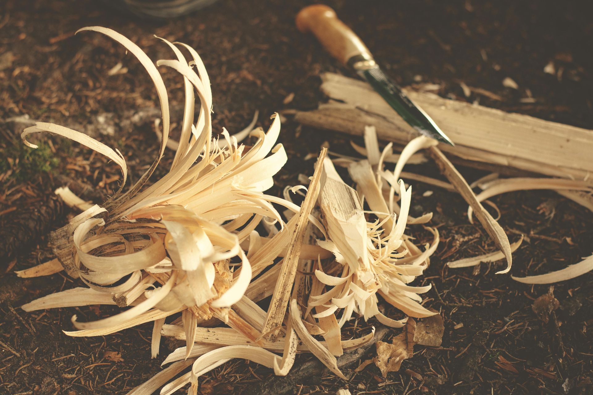 Wood shavings and knife on a forest floor, likely for starting a fire.