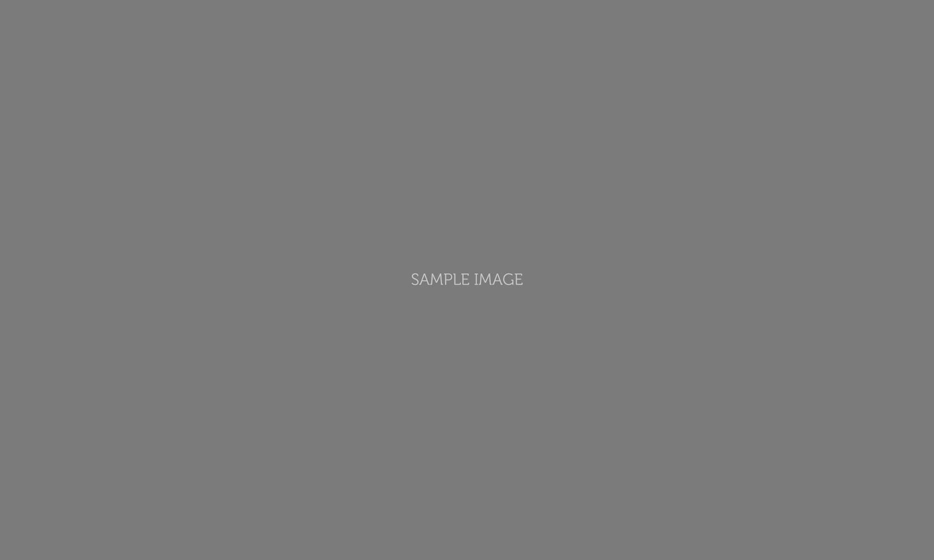 A centered grey background with the text