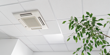 A square air conditioning unit is set into a white drop ceiling, with a leafy green plant visible on the right.