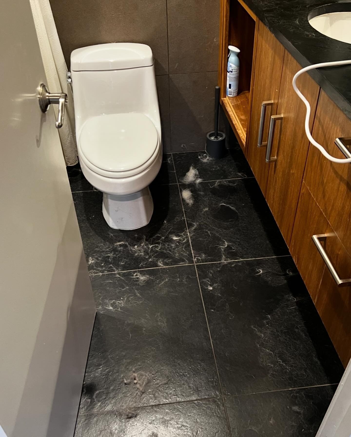Bathroom floor after de-shed service