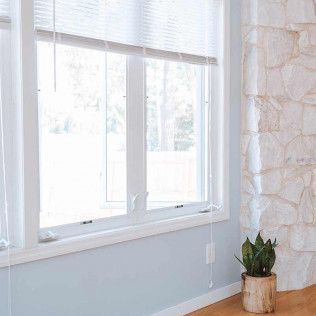 There is a potted plant in front of a window with blinds