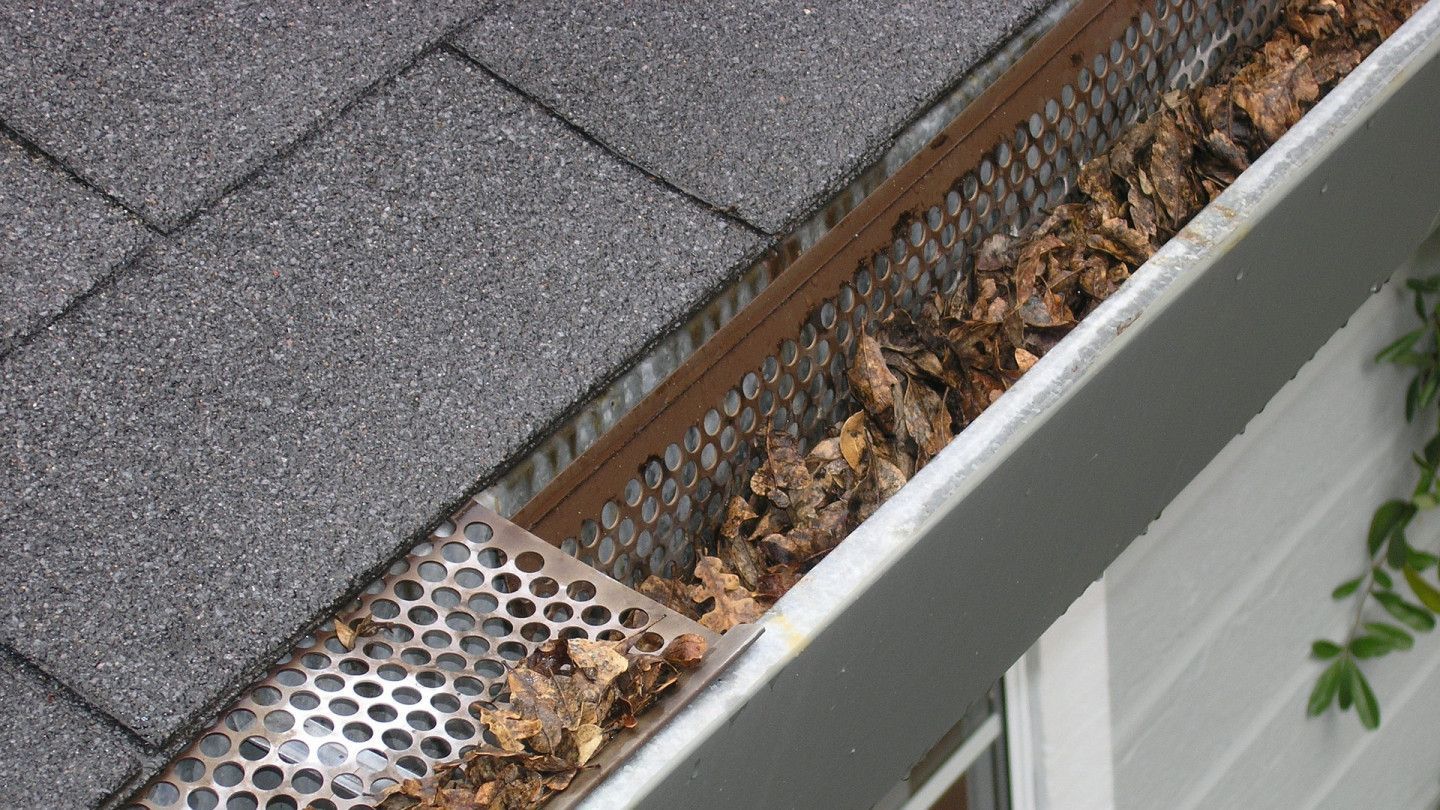 A gutter with leaves on it is sitting on top of a roof
