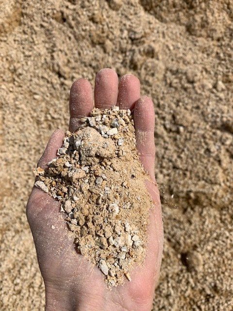 Rhyolite — Sand Port Stephens in Salamander Bay, NSW