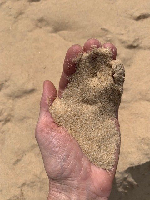 Fill Sand — Sand Port Stephens in Salamander Bay, NSW