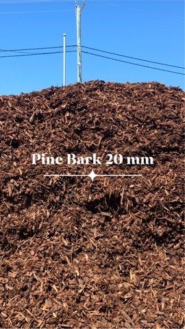 Fine Pine Bark— Sand Port Stephens in Salamander Bay, NSW