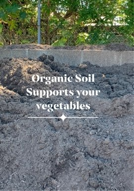 Organic Soil — Sand Port Stephens in Salamander Bay, NSW