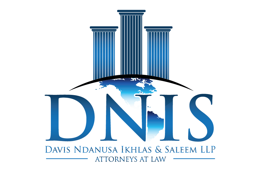 DNIS Logo
