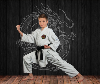 Martial Arts Studio  Karate & Self Defense