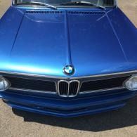 Front view of a blue BMW car hood and grille in sunlight