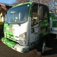 Green flatbed truck parked outdoors, viewed from the front-left side.