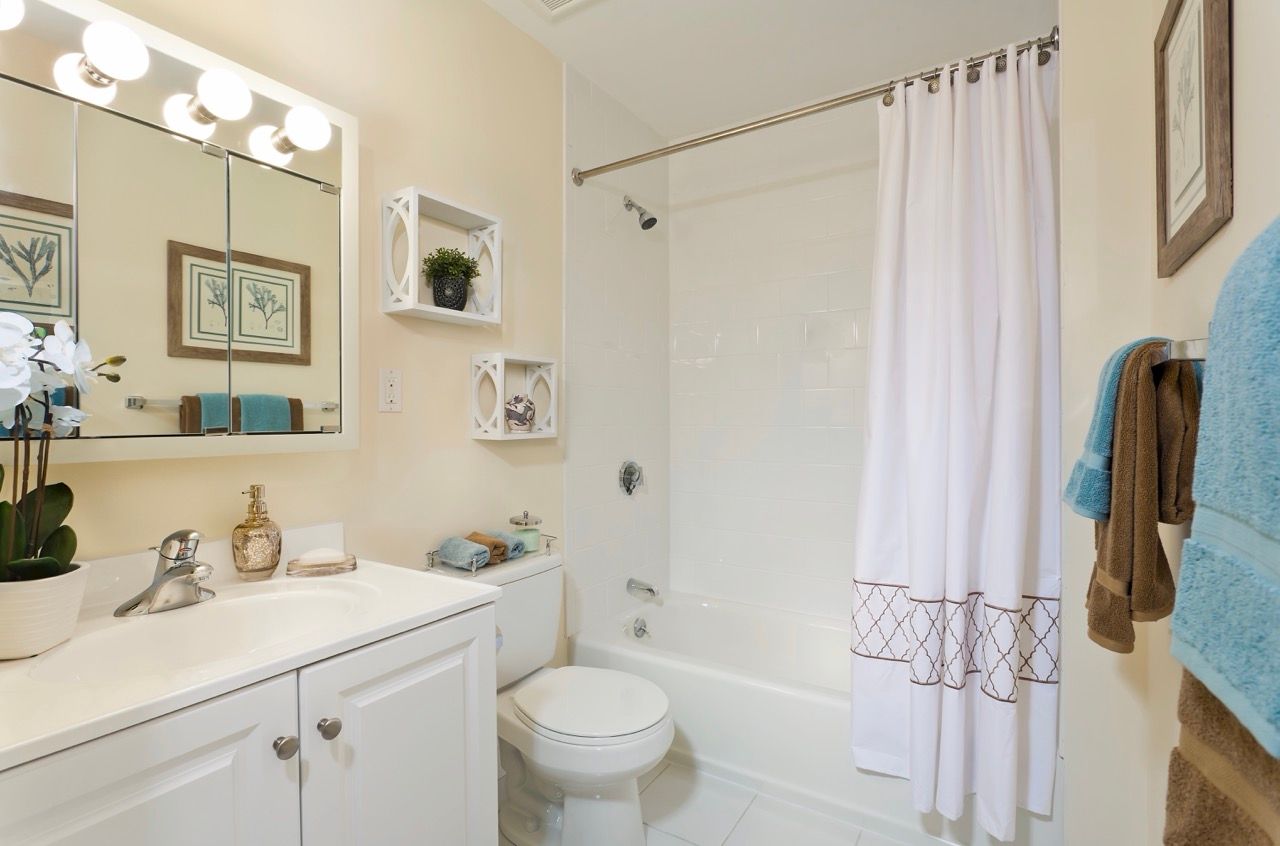 Bright bathroom with white vanity, large mirror, toilet, and tub/shower with a white curtain.
