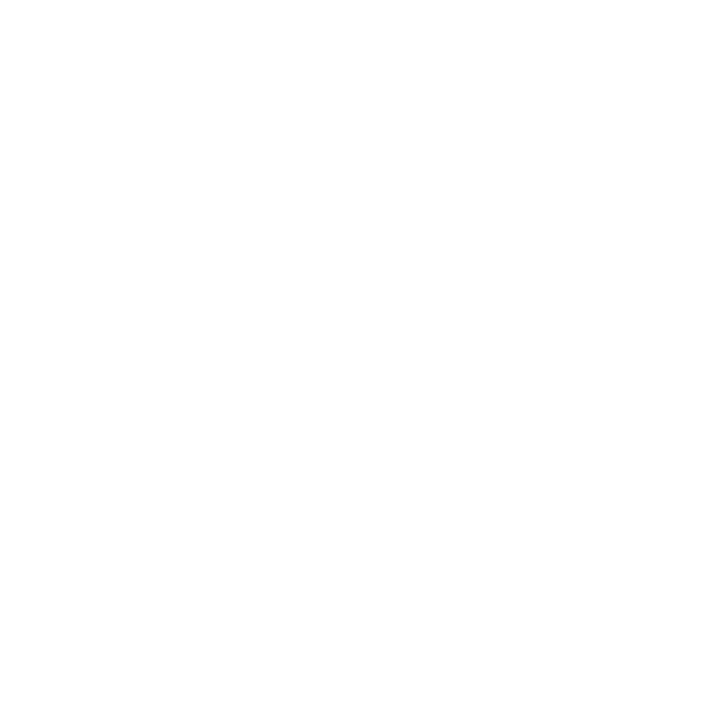 VZUG logo 