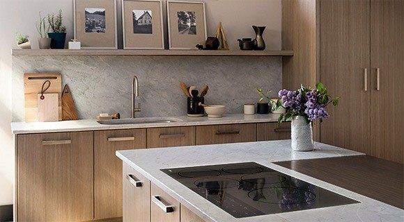 wolf induction cooktops from caterbitz dorset