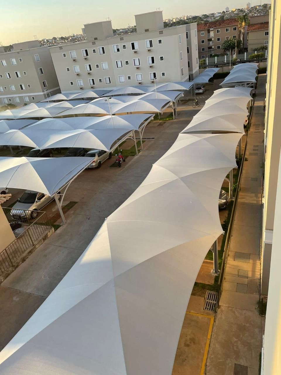 Uma fileira de guarda-chuvas brancos estão alinhados em um estacionamento.