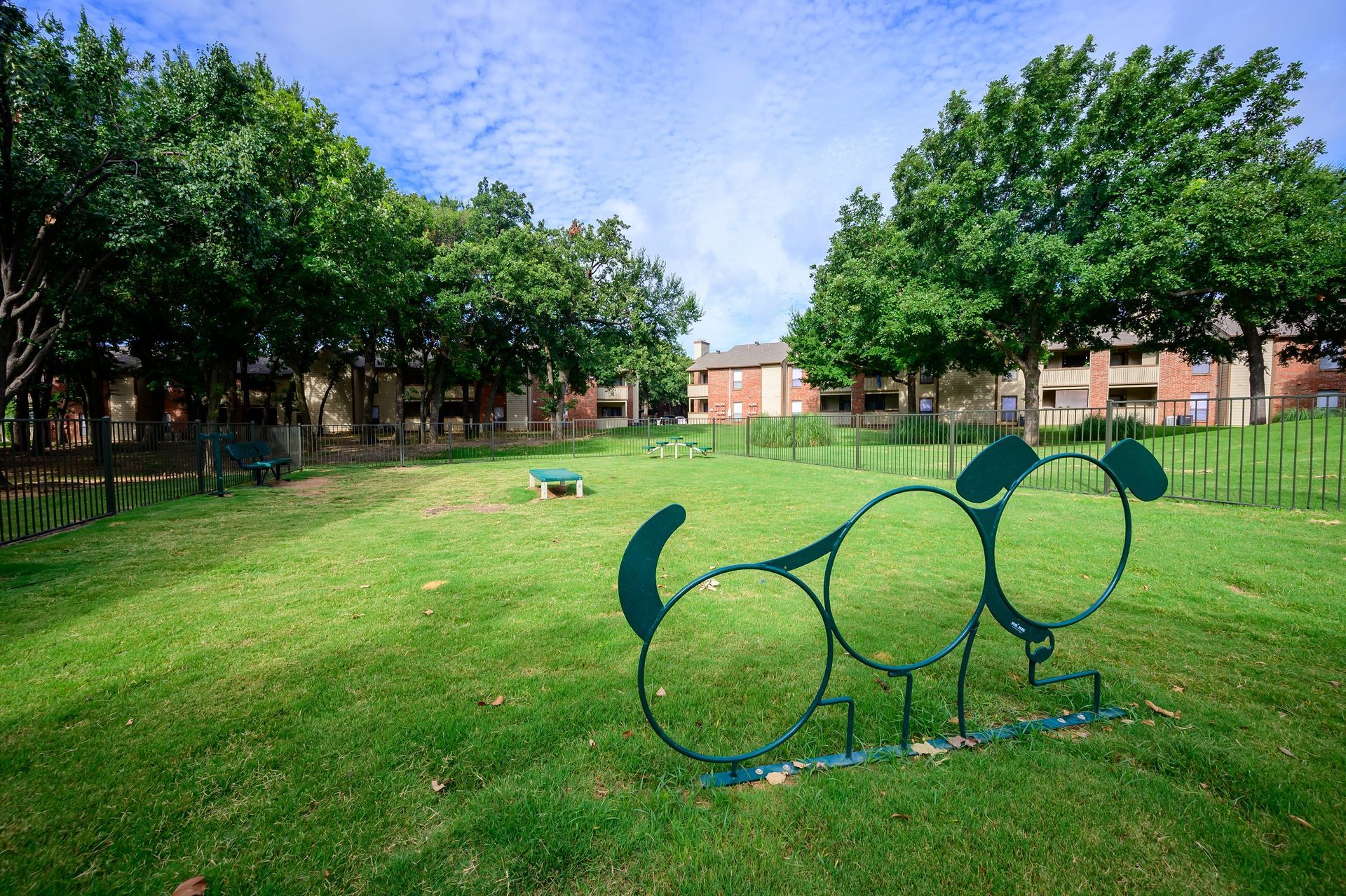 Dog park with agility equipment, green grass, and trees on a sunny day.
