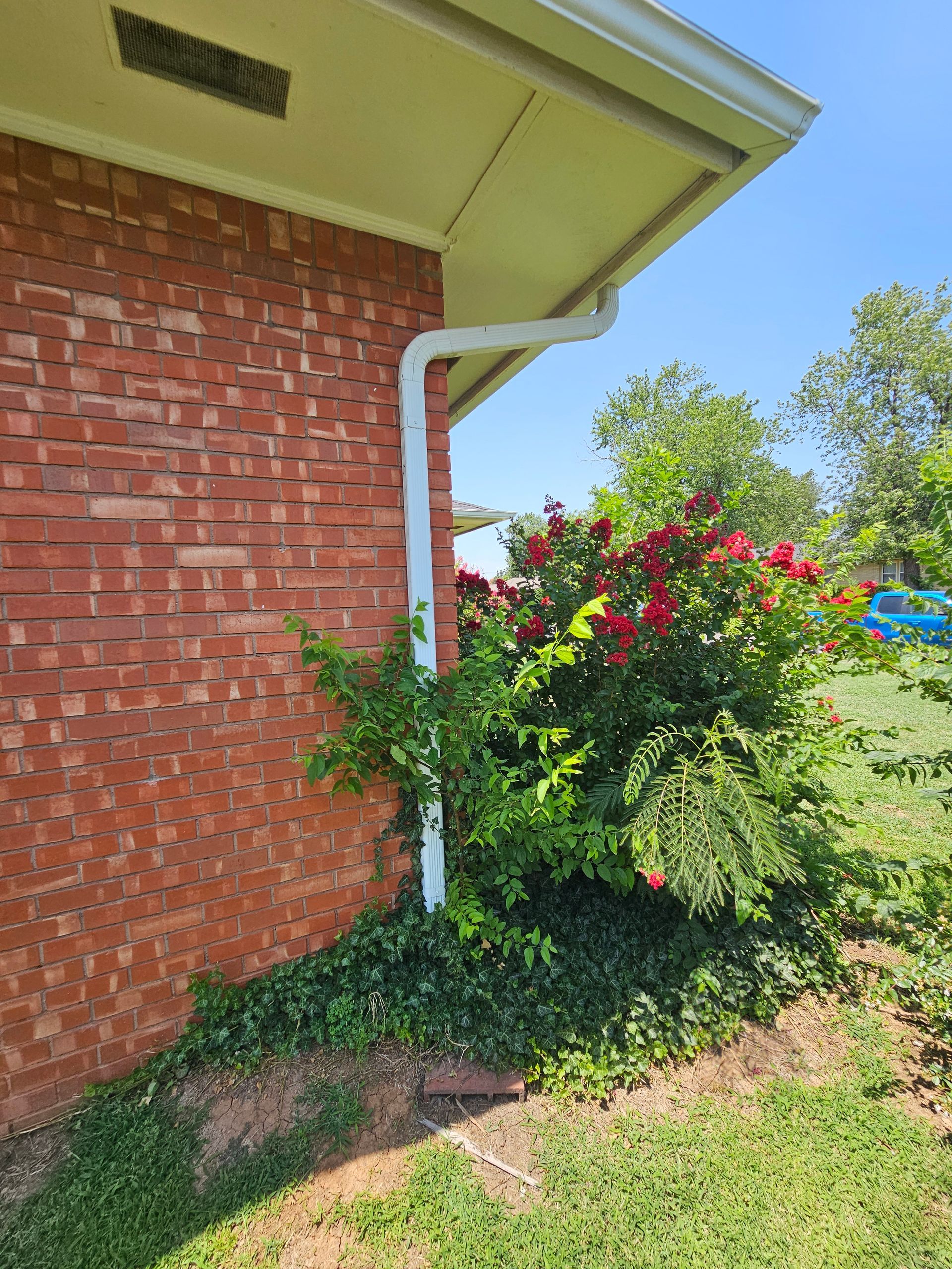 Red brick wall with white gutter and downspout next to a flowering bush.
