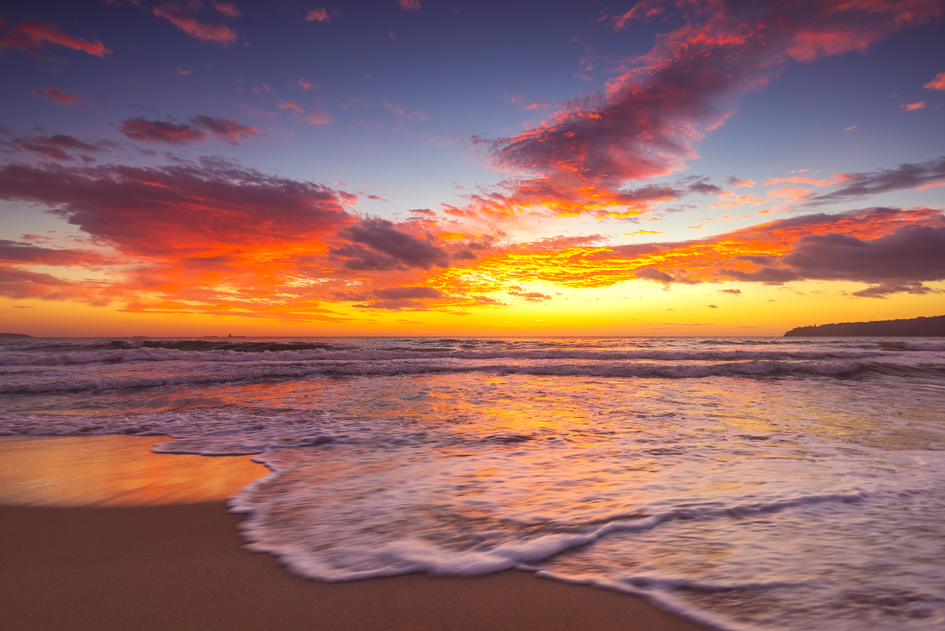A fountain in a park with palm trees in the background
