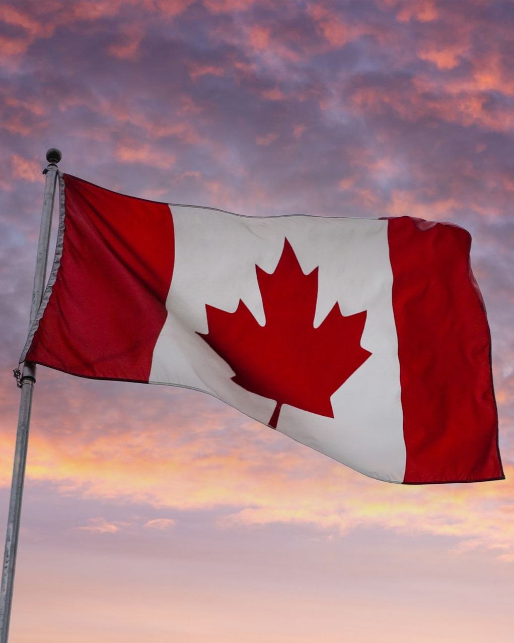 A group of people are standing around a coffin at a funeral.