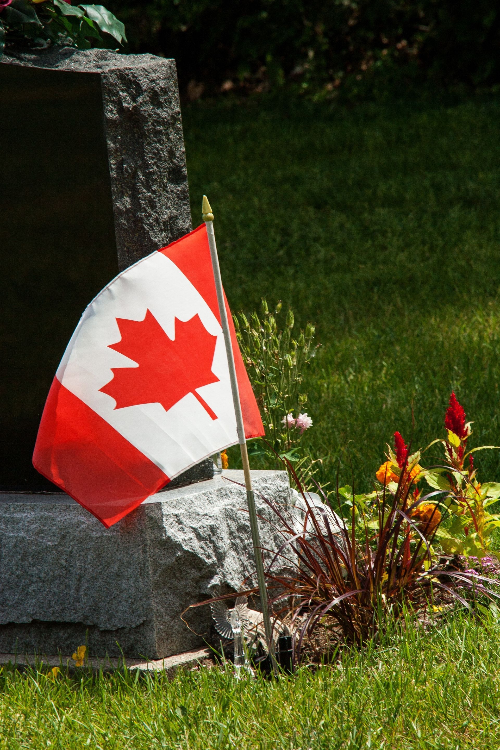 A man is holding an american flag over a coffin at a funeral.