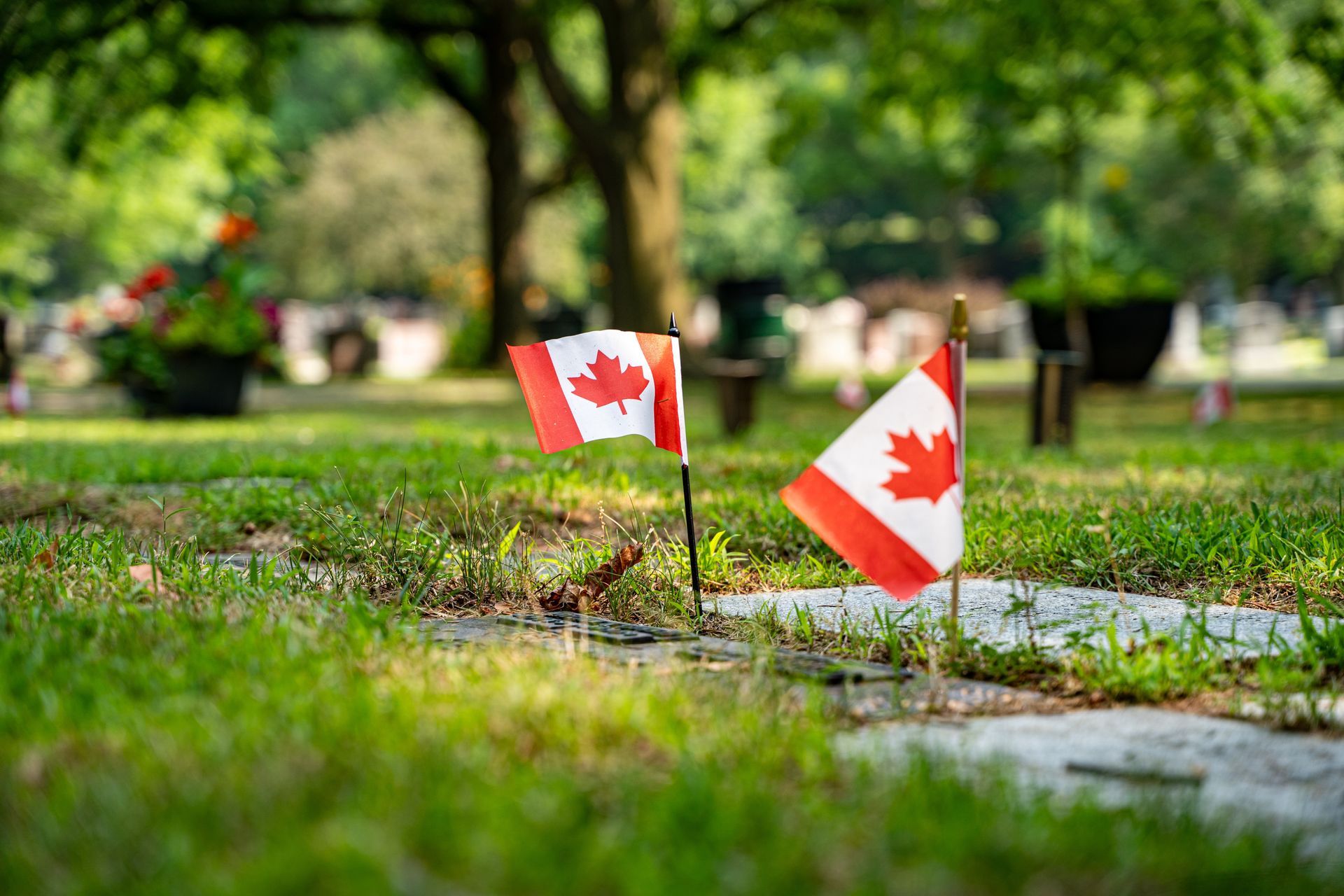 A man in a military uniform salutes in front of a cemetery