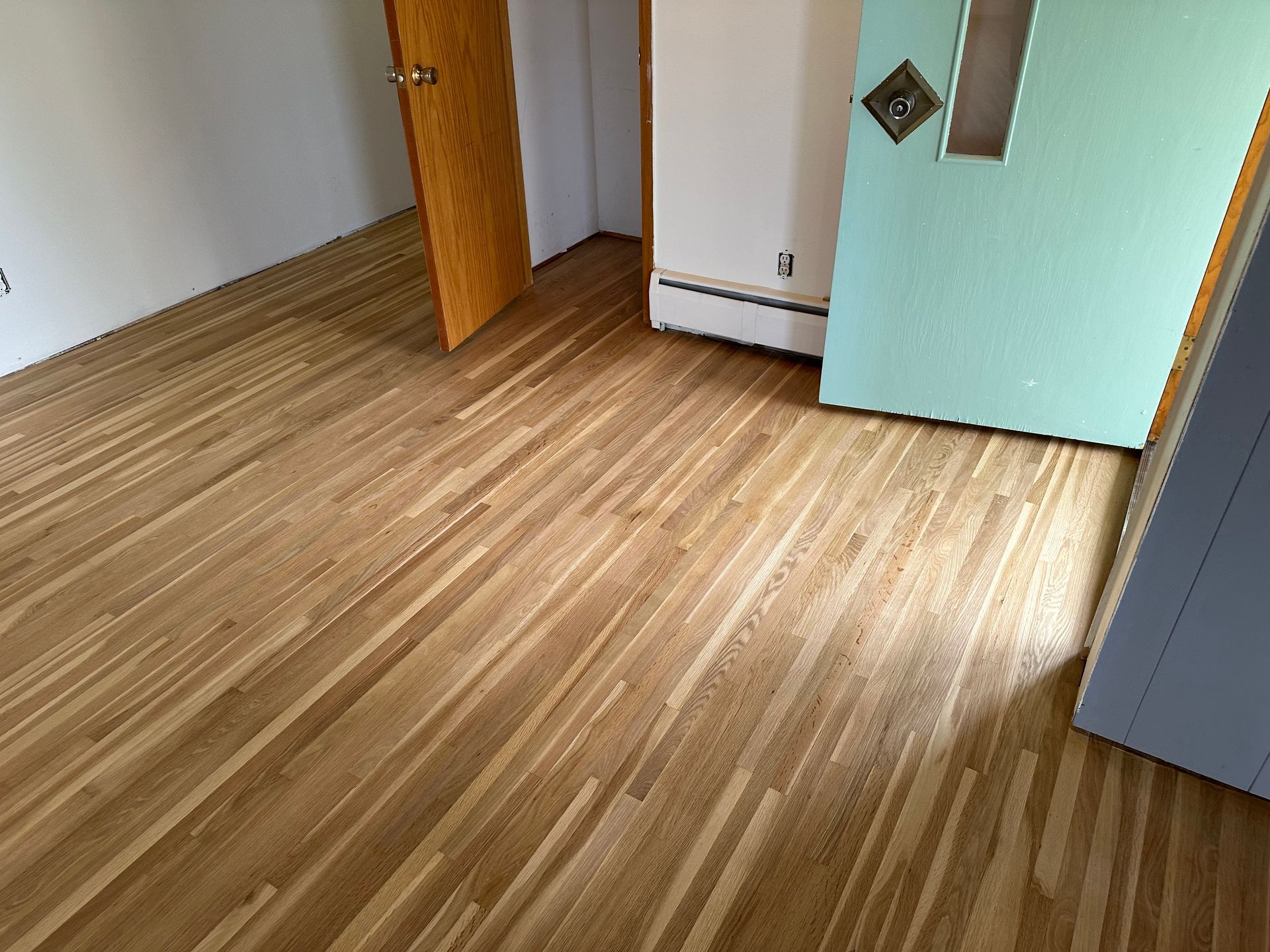 A room with a wooden floor and a green door.