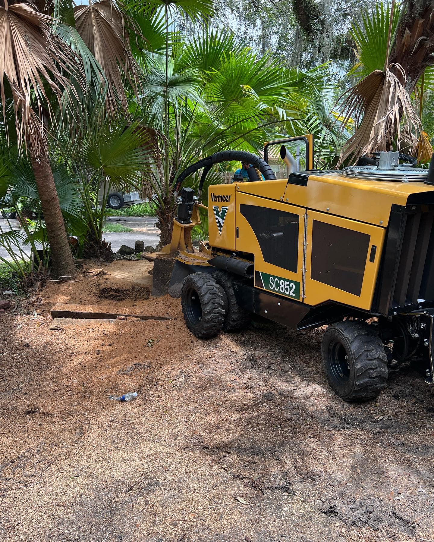 Stump Removal | Riverview, FL | Salva's Tree Cutting Service