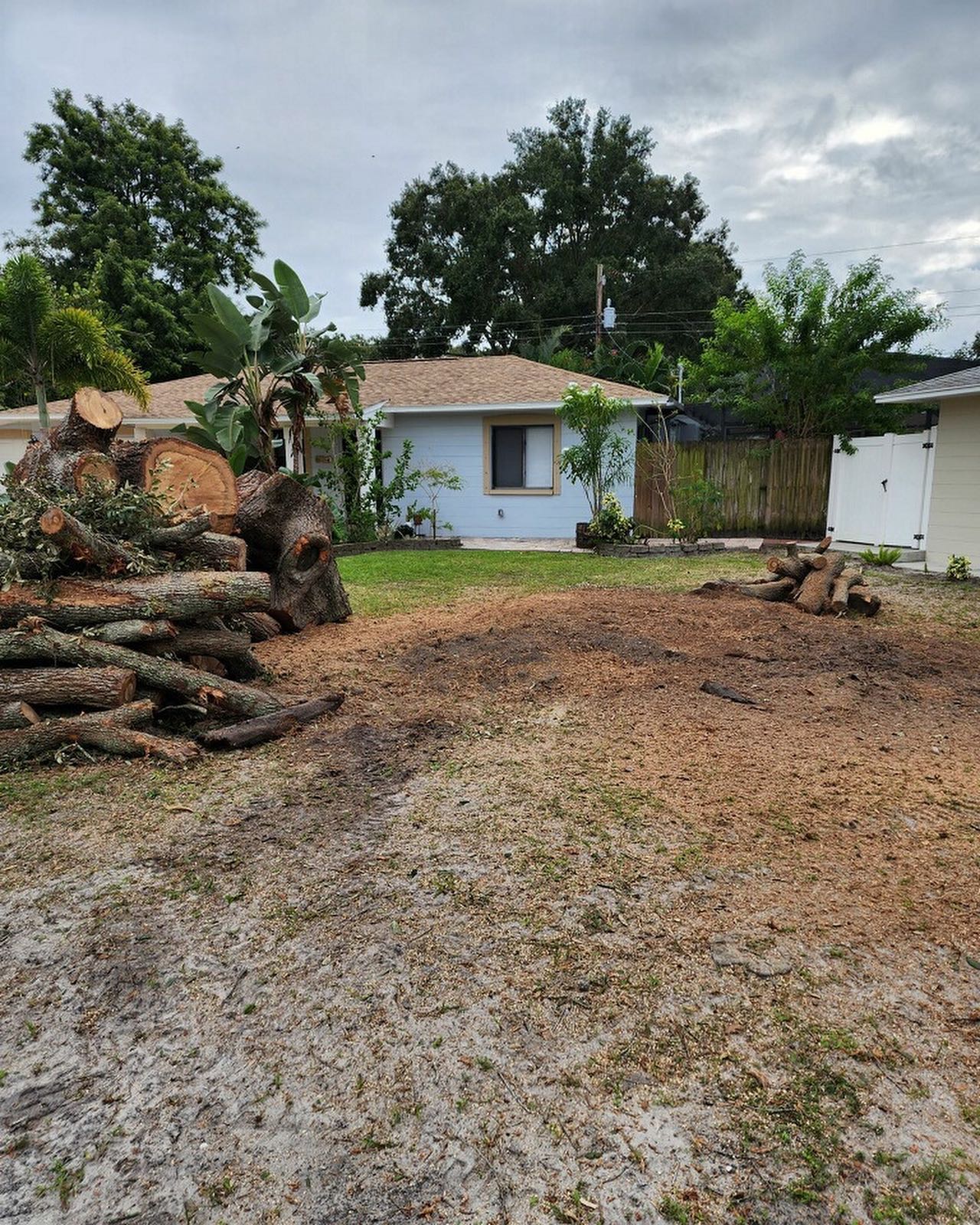 Residential Tree Services | Riverview, FL | Salva's Tree Cutting Service