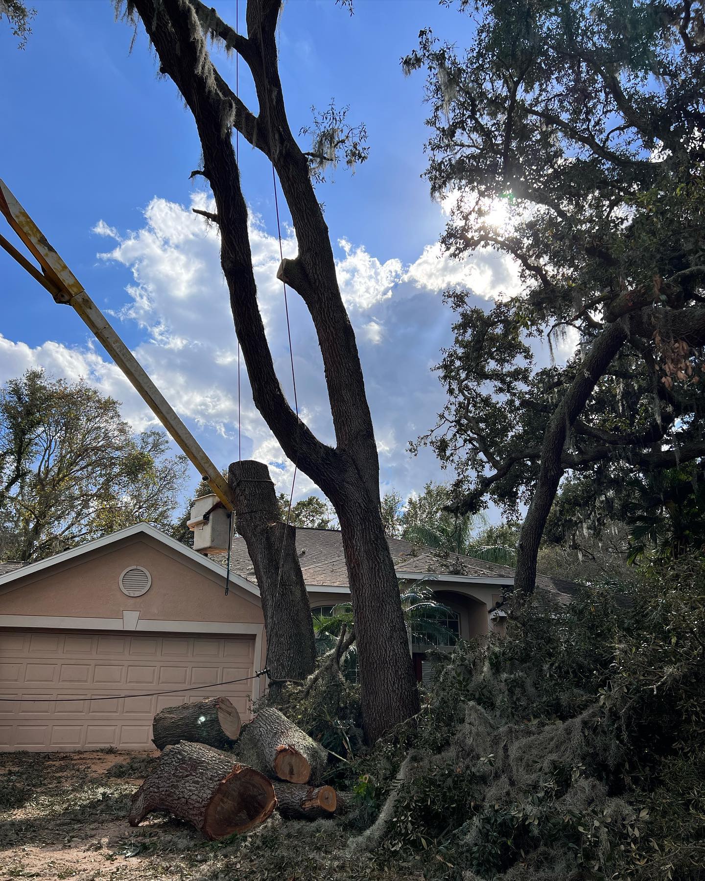 Tree being trimmed near a house; a lift arm is visible, with logs and debris on the ground; sunny sky.