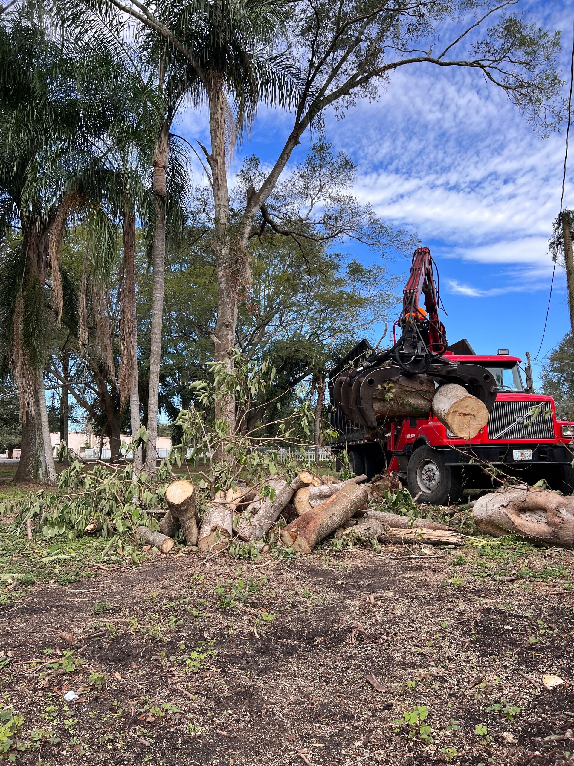 Red truck loading tree branches, cut logs on ground, clear blue sky.