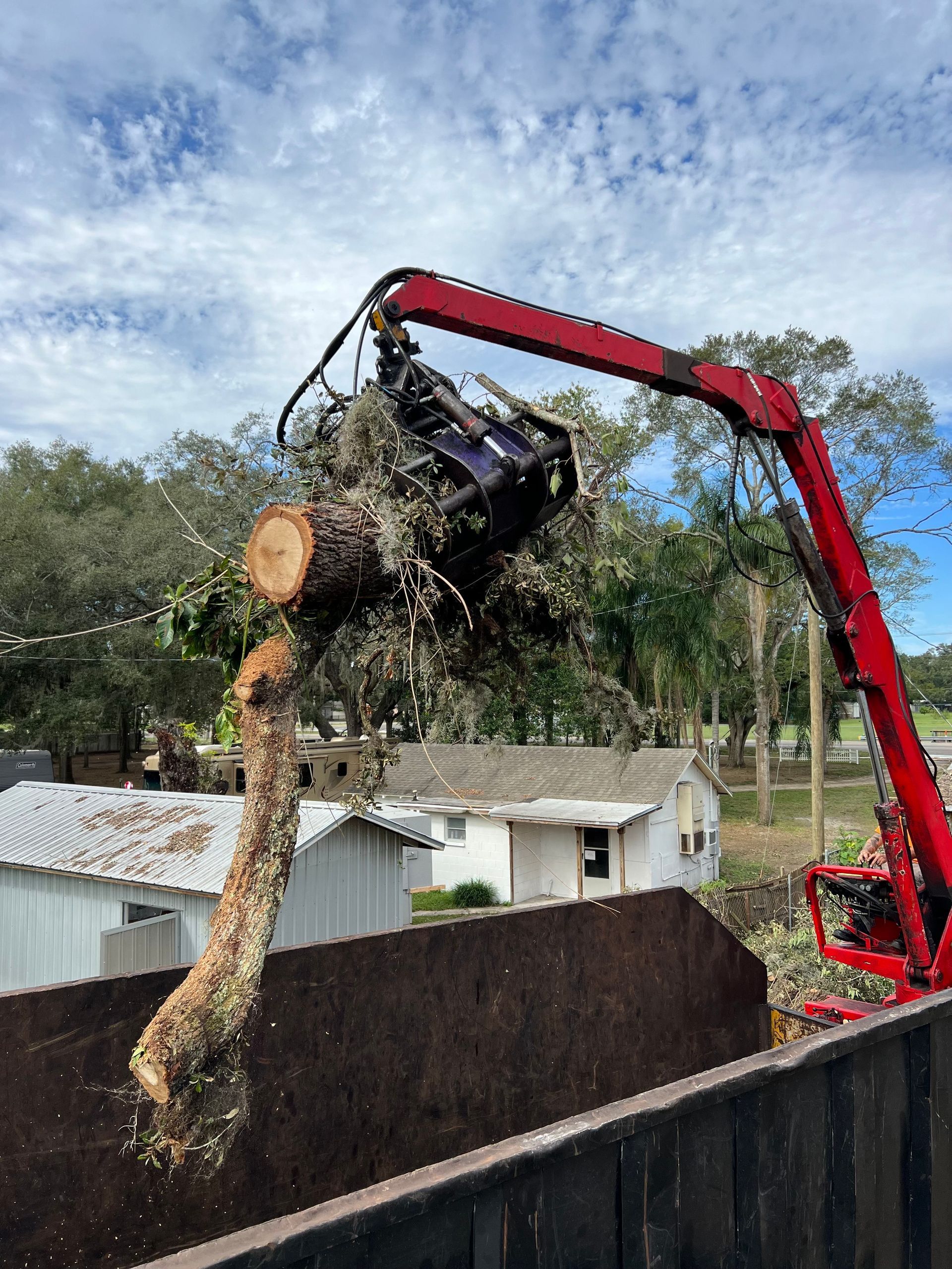 Root Removal | Riverview, FL | Salva's Tree Cutting Service