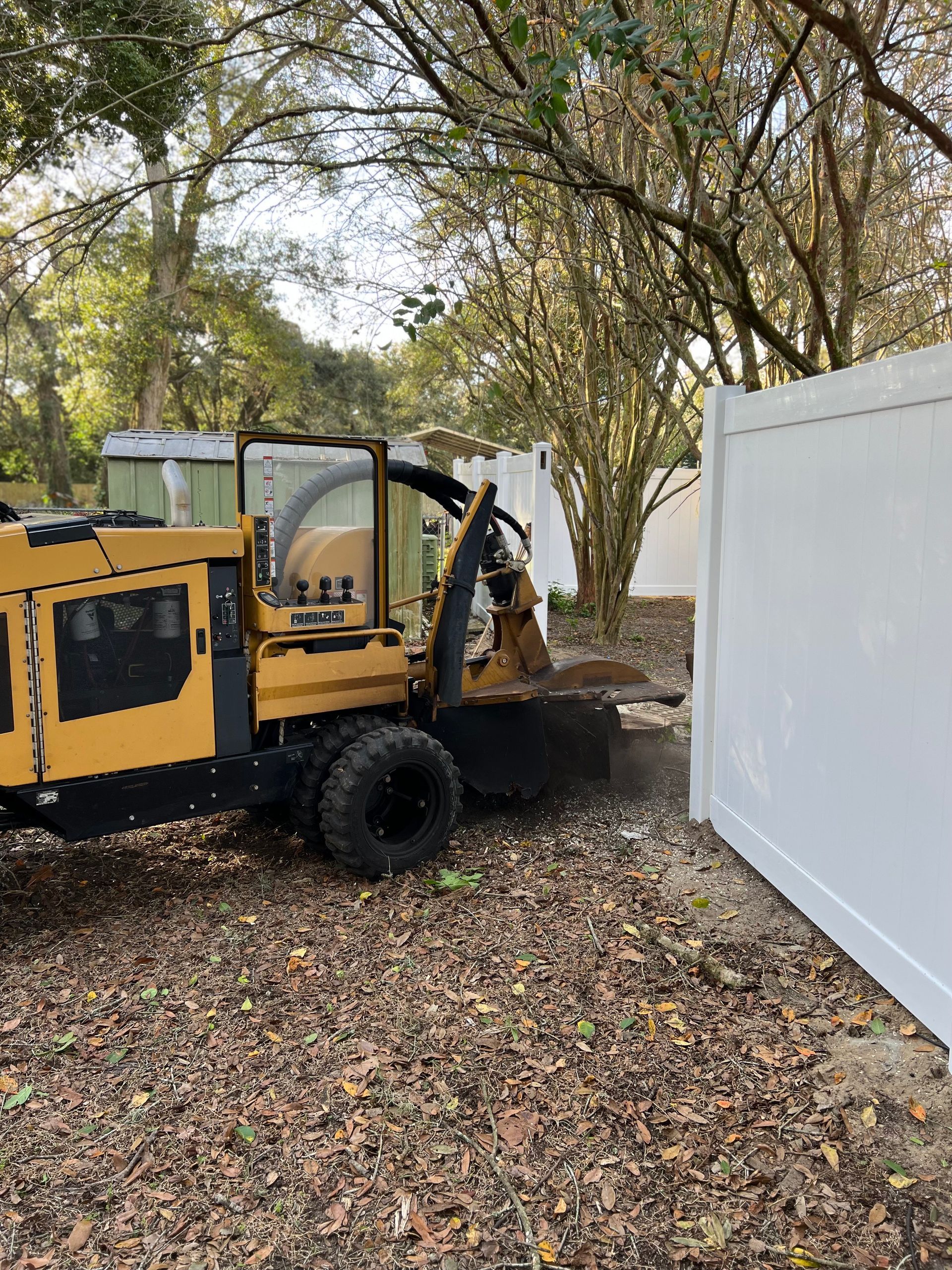 Stump Removal | Riverview, FL | Salva's Tree Cutting Service