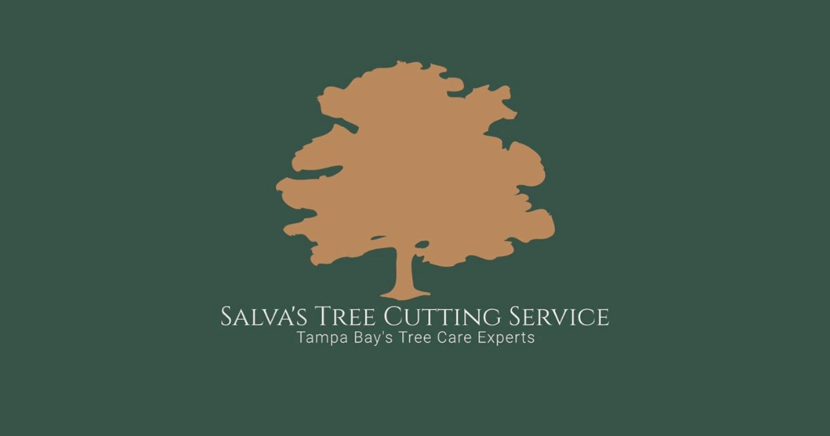 Tree Service Company | Riverview, FL | Salva's Tree Cutting Service