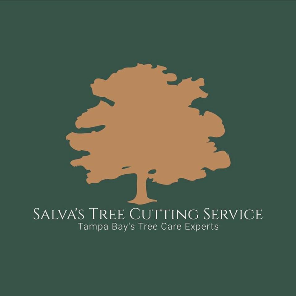 Tree Service Company | Riverview, FL | Salvas Tree Cutting Service