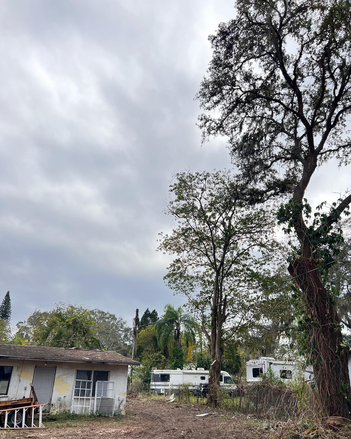 Overcast sky over dilapidated buildings, RVs, and trees in a field.