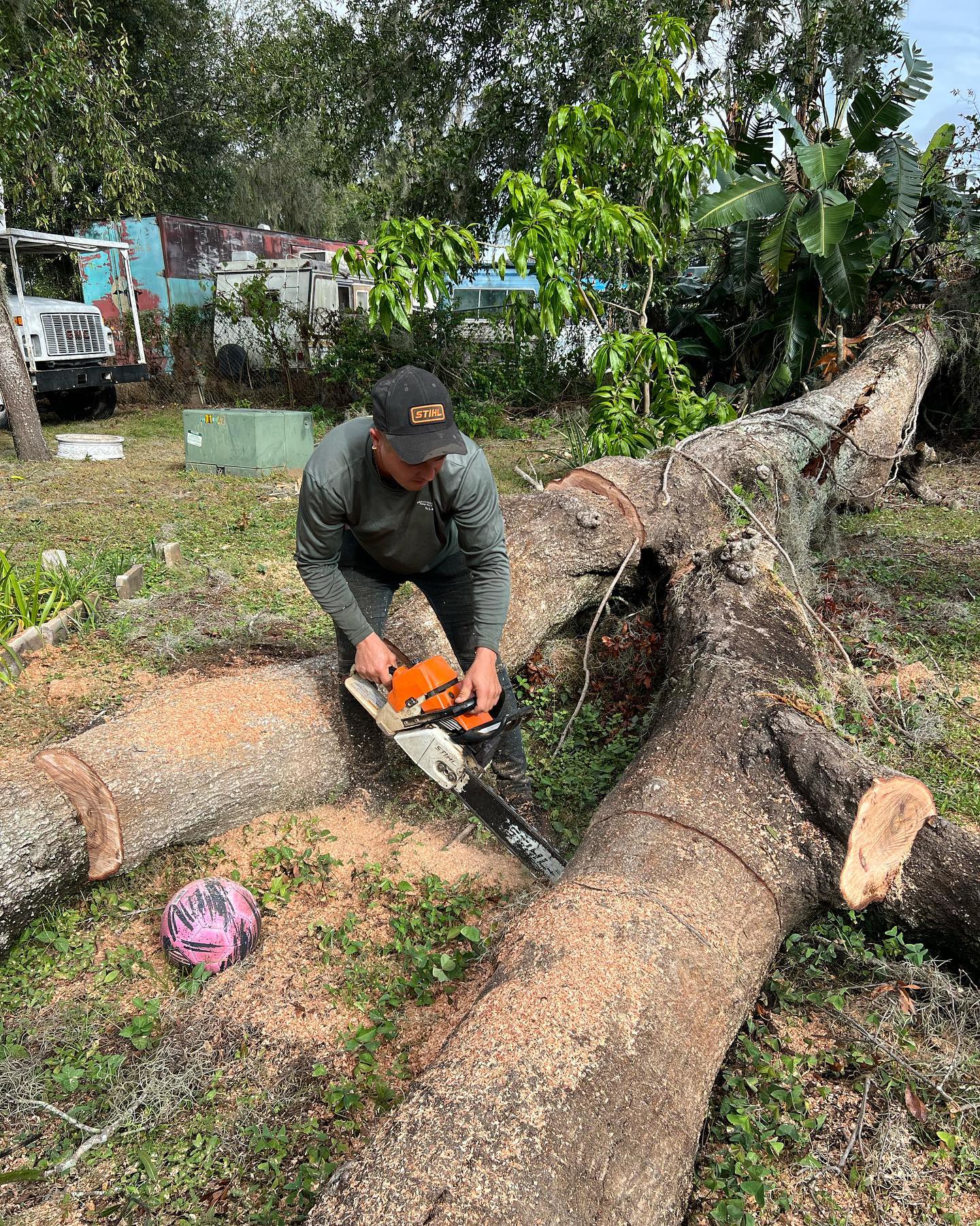 Man in hat using chainsaw on felled tree outdoors.