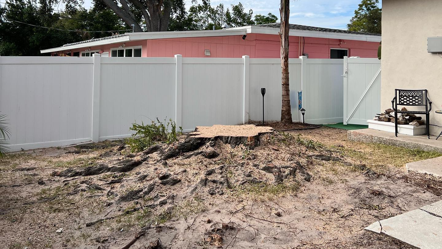 Property FAQ | Land O Lakes, FL | Treemasters Inc